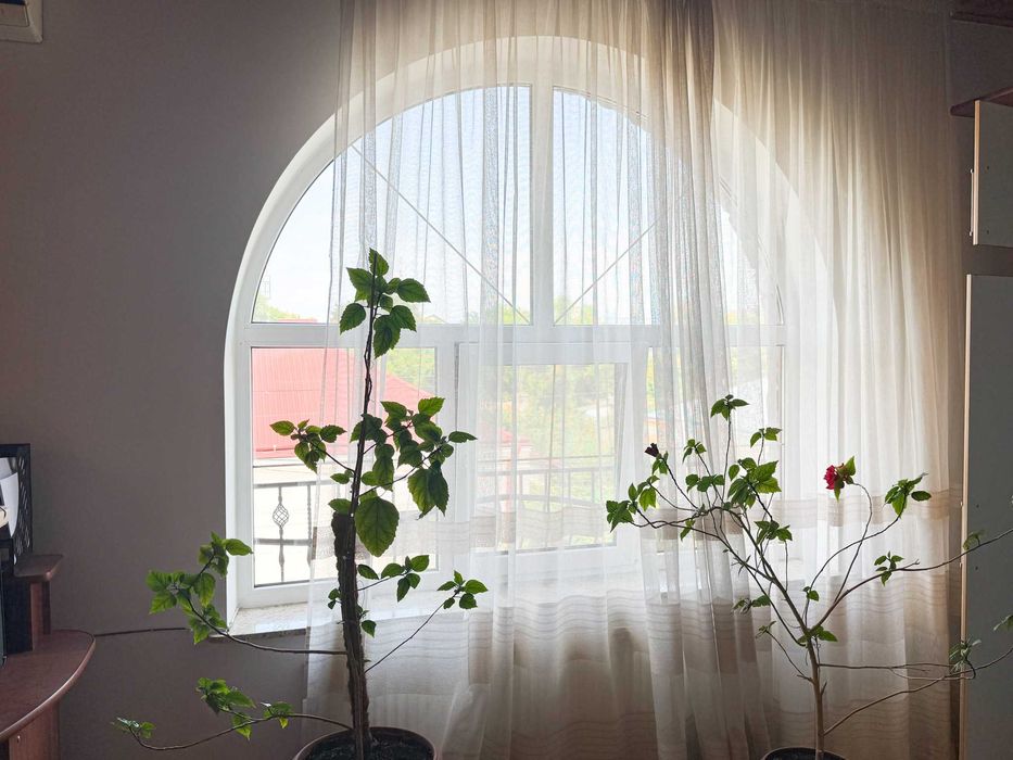 Будинок по вул. Циганська, м. Тернопіль (Н.Світ)