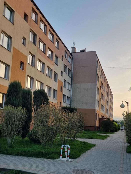 Mieszkanie do wynajęcia