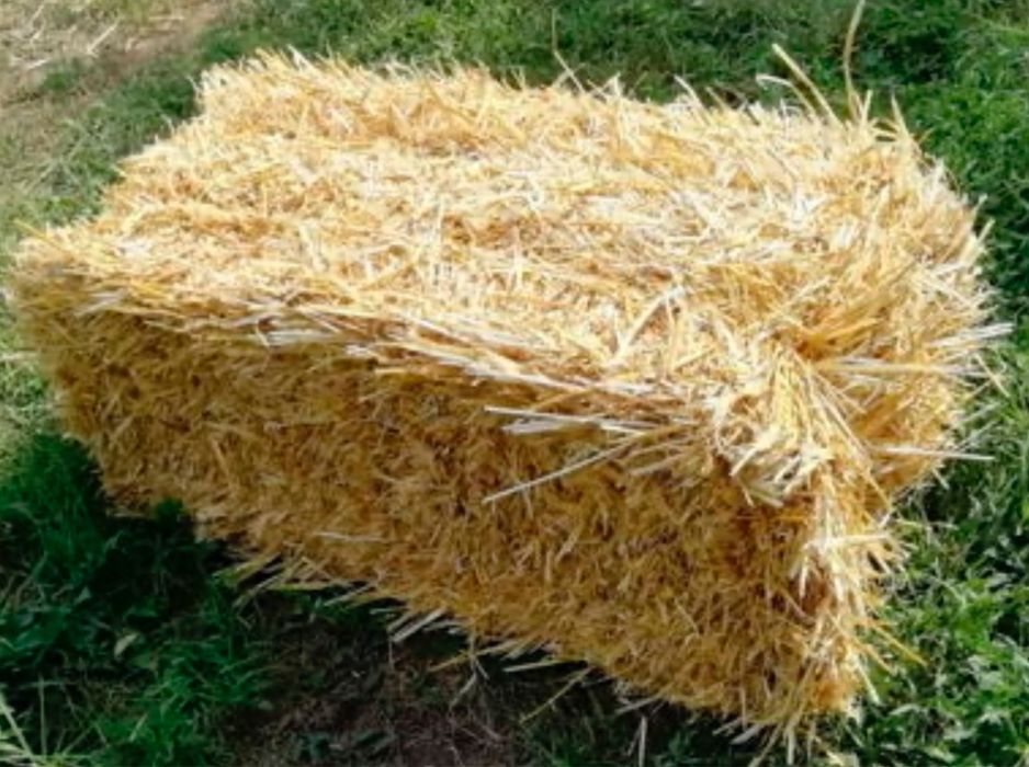 Солома в тюках