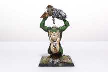Orc and Goblin Warhammer 1x Troll - battle for skull pass