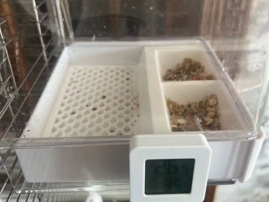 Comedouro / Bebedouro para Papagaios