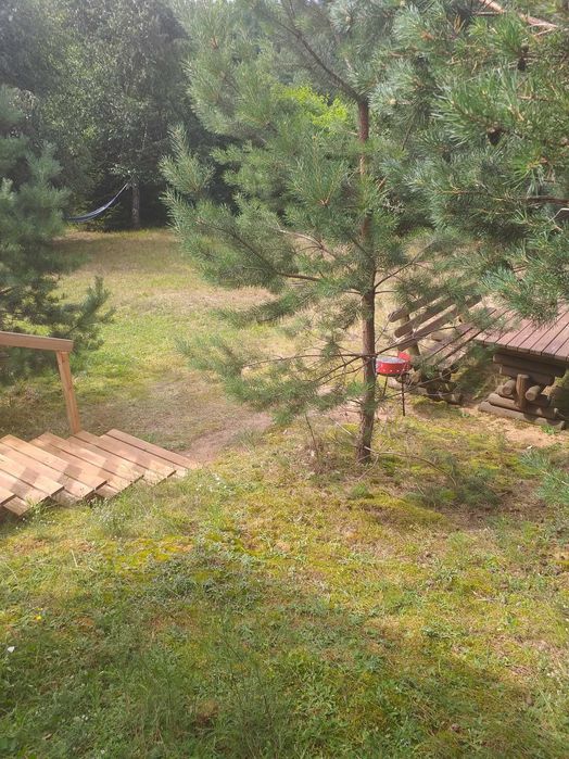 drewniany domek letniskowy nad jeziorem Wdzydze