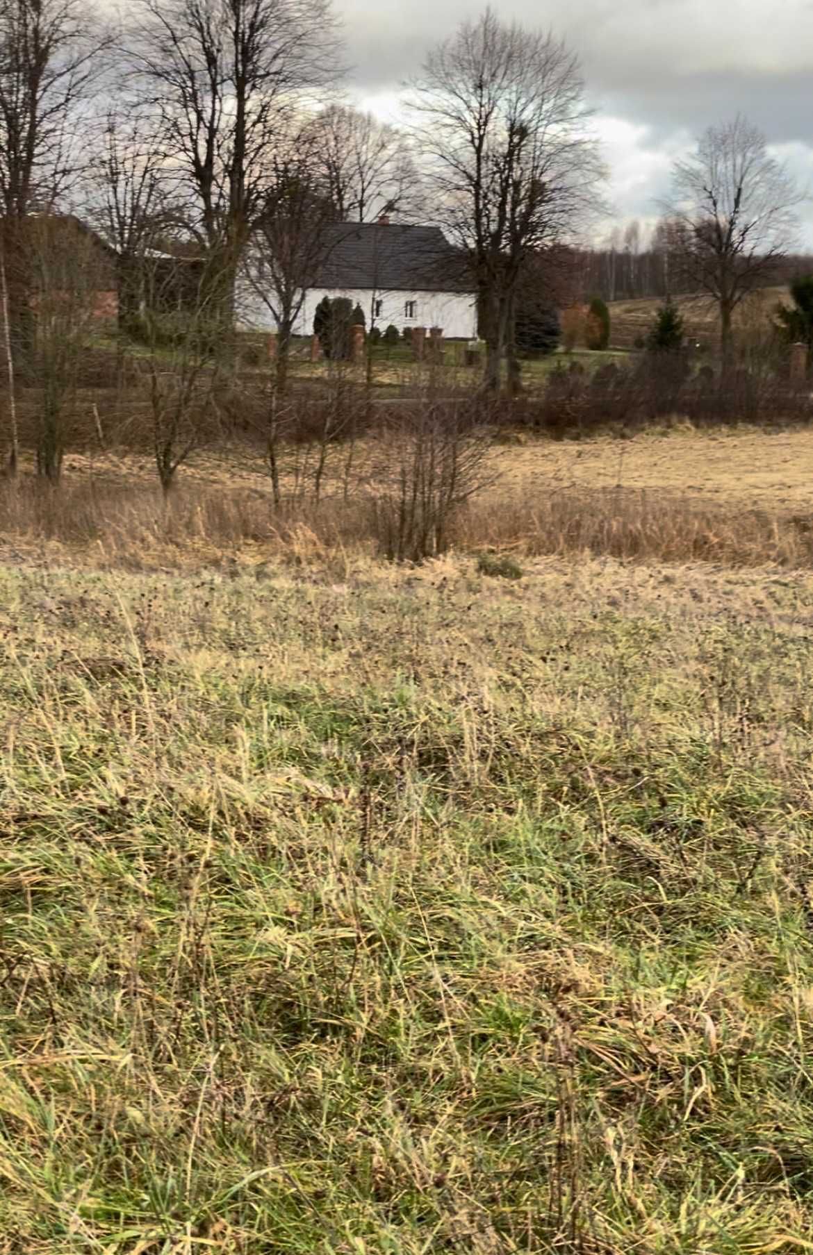 Działka budowlana WARUNKI  las jezioro siedlisko Mazury Warmia Kaszuby