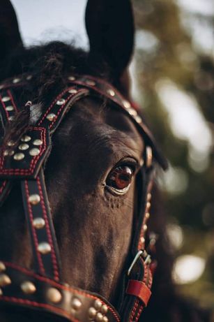 Упряж шлея нарытник півшора хома уздечка оголовье коня лошадь кантар