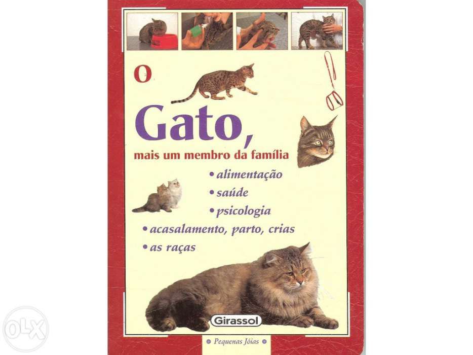 Livro O Gato, mais um membro da família