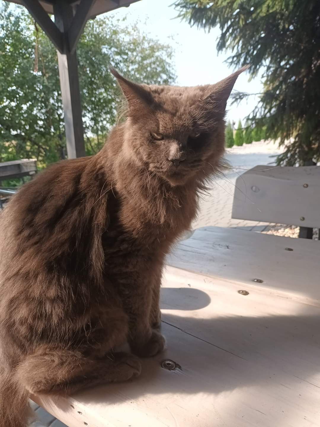 Lucyfer nadal poszukiwany