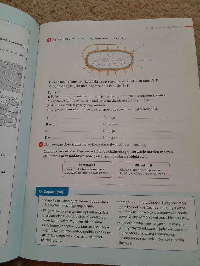 Zeszyt ćwiczeń do biologii klasa 7