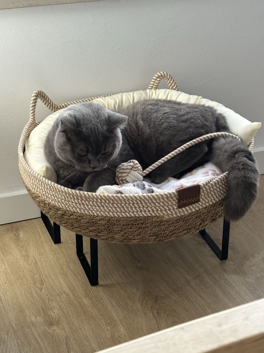 Passeios, cuidados e companhia para o seu patudo – Barreiro