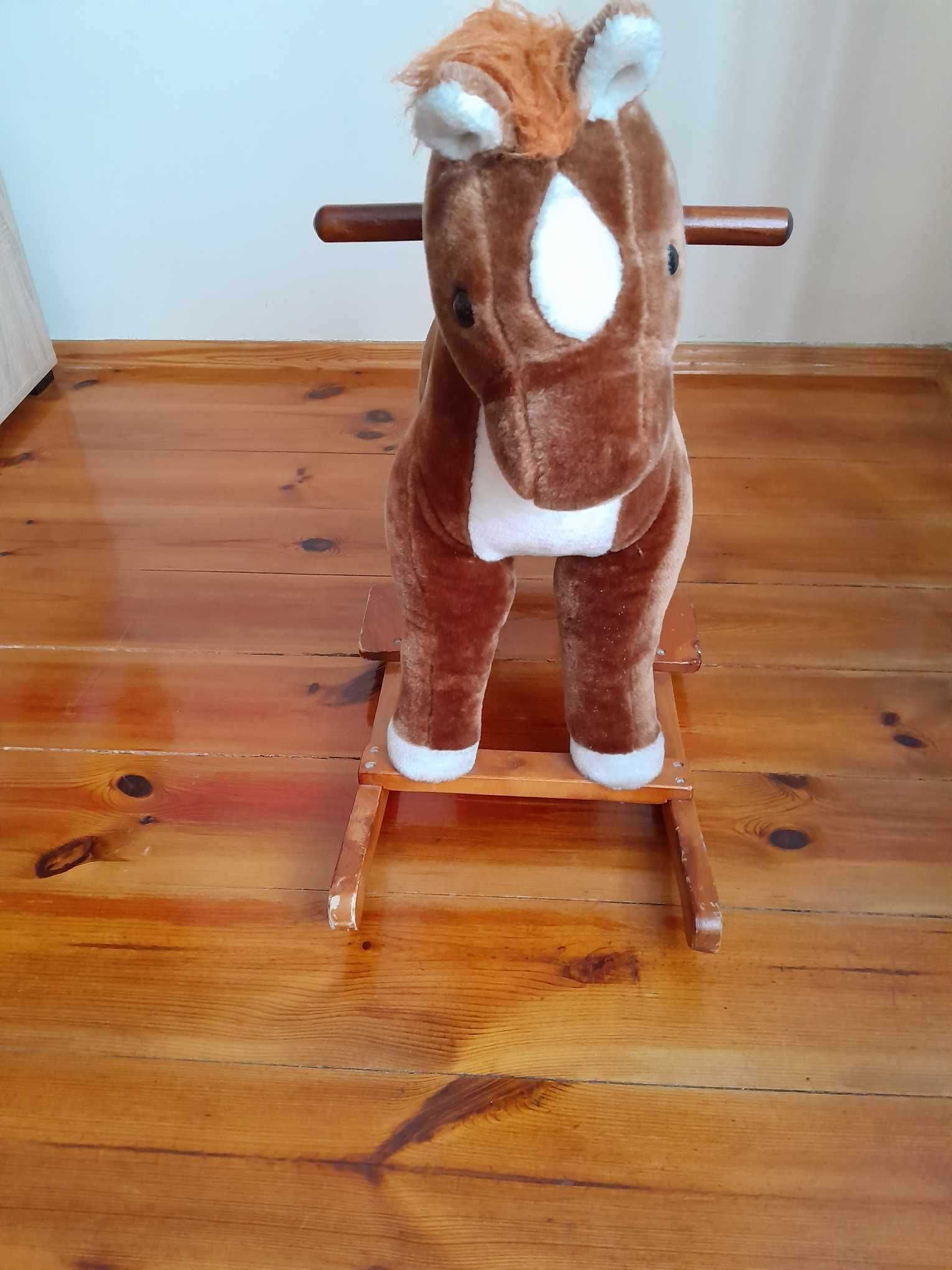 Konik na biegunach