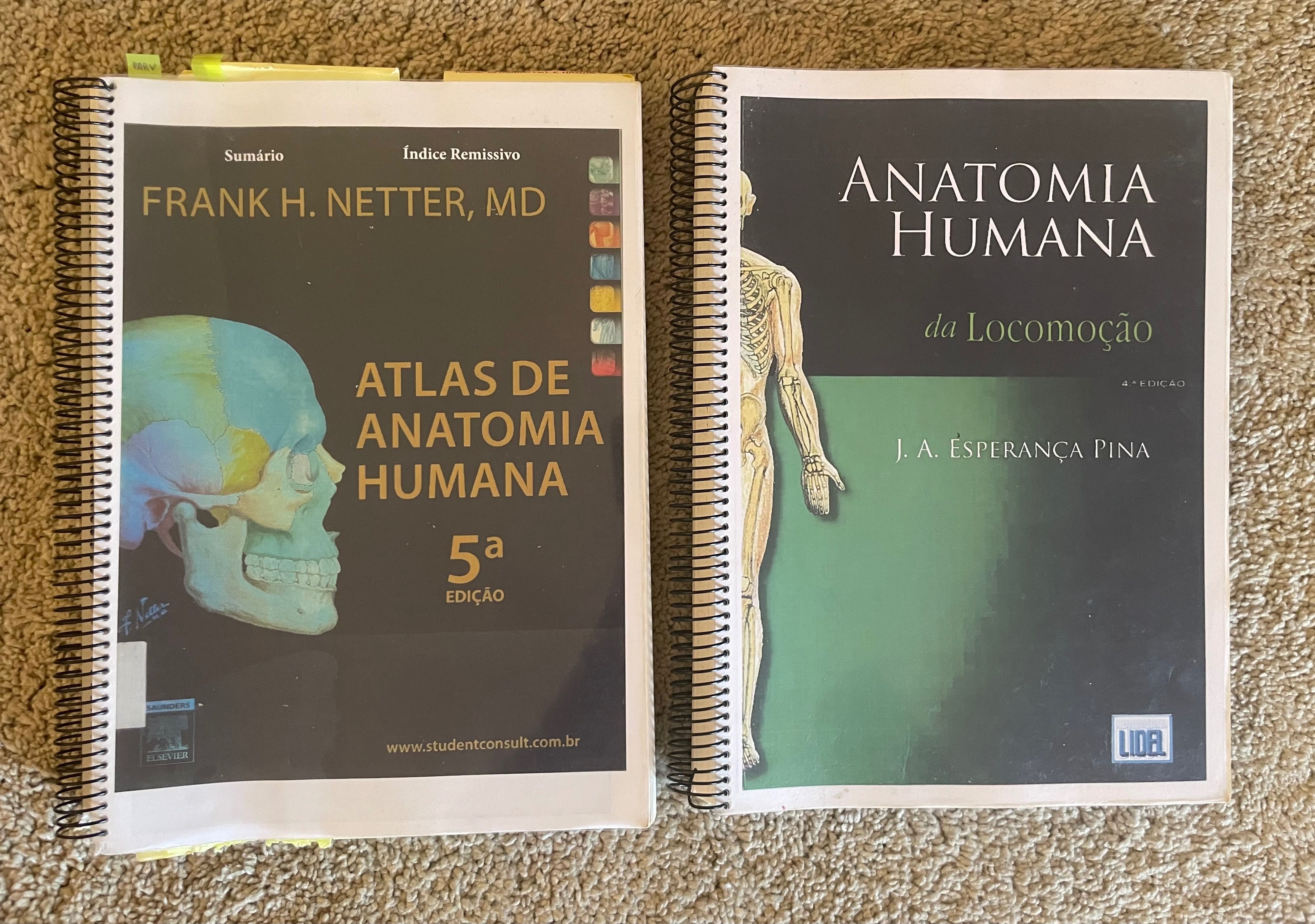 Livro Anatomia Humana