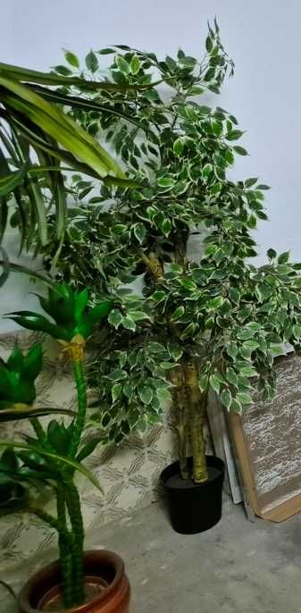 Planta plástico grande (3 plantas)