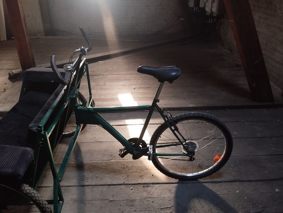 Riksza - w dobrym stanie