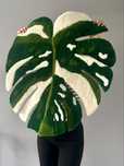 Dywan dywanik roslinny monstera