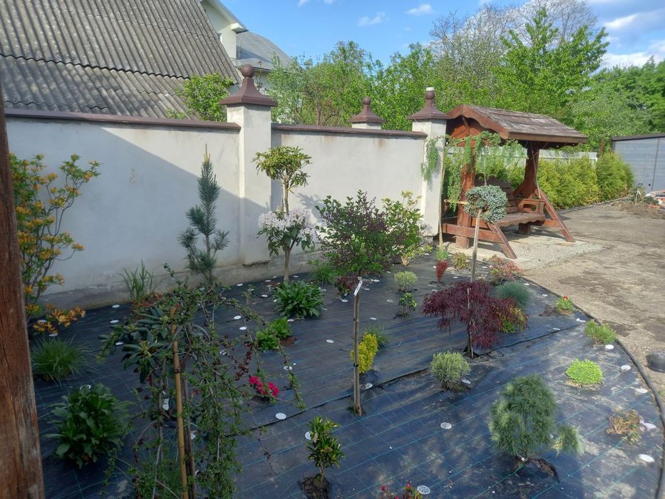 Послуги садівника, обслуговування