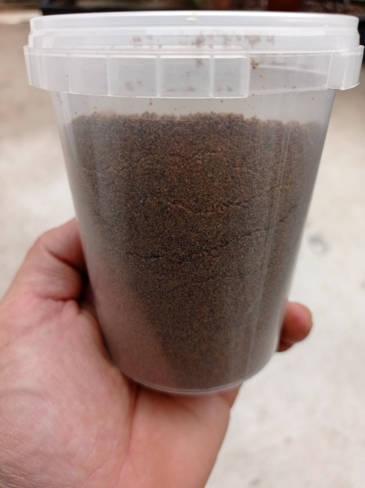 Ração afundante especial para peixes de água fria tbm com probióticos