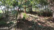 Terreno com 7870 m2 em Fiscal, Amares