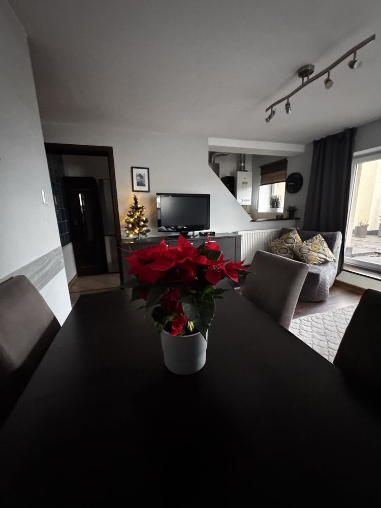 Centrum Karpacza Apartament Leonos z widokiem na Śnieżkę od 22.08