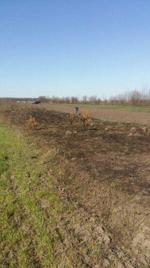 Продаж землі с.Зубра  Терміново. Ціна зменшена