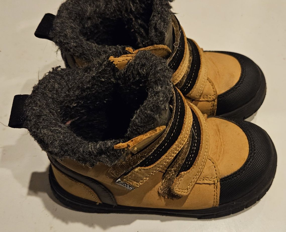 Lasocki 24 kozaki