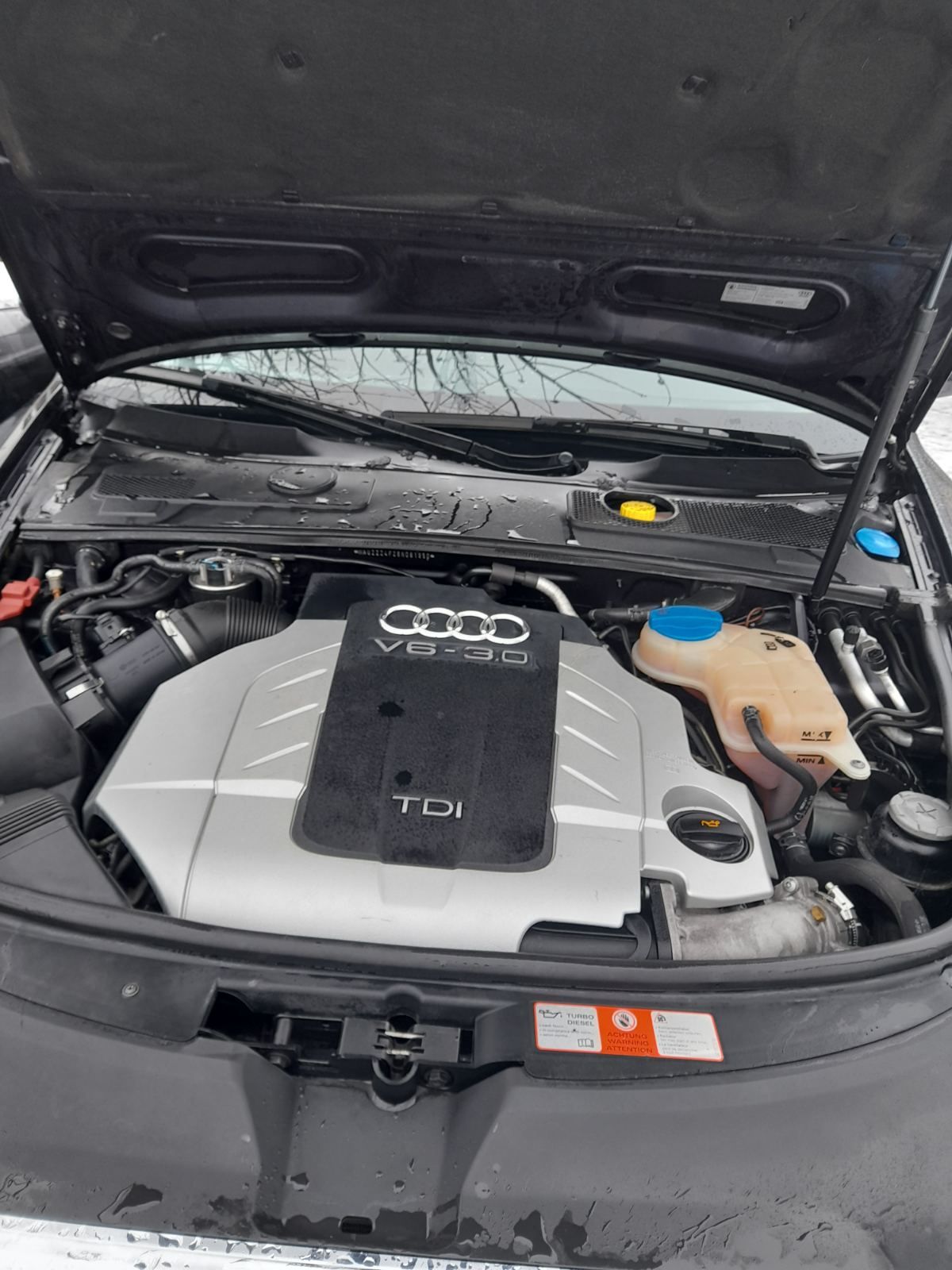 Audi  A6      C6