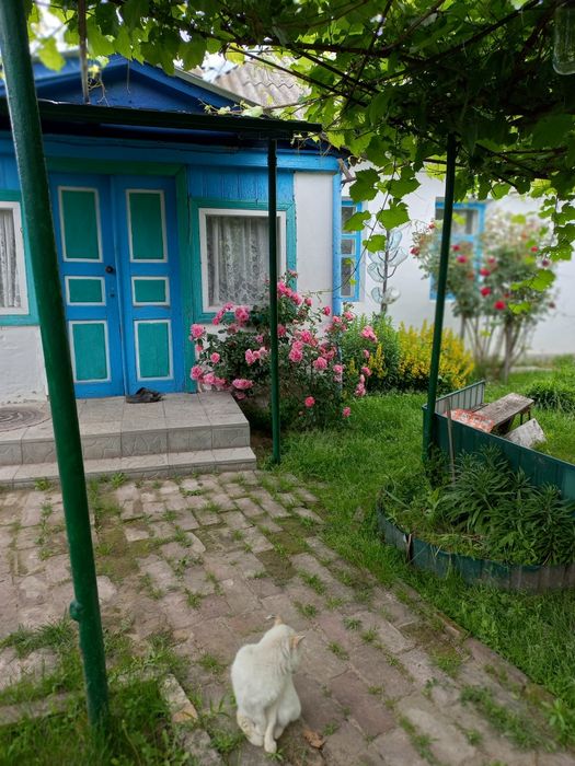 Продам будинок в селі Серединка Чернігівського району