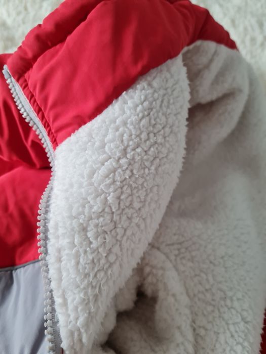 Зимовий комбінезон для собаки дівчинки