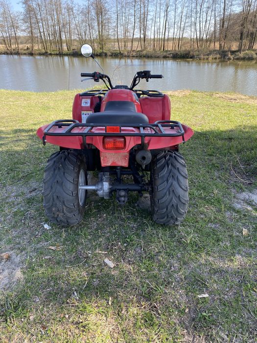 Quad 250 Yamaha Bruin