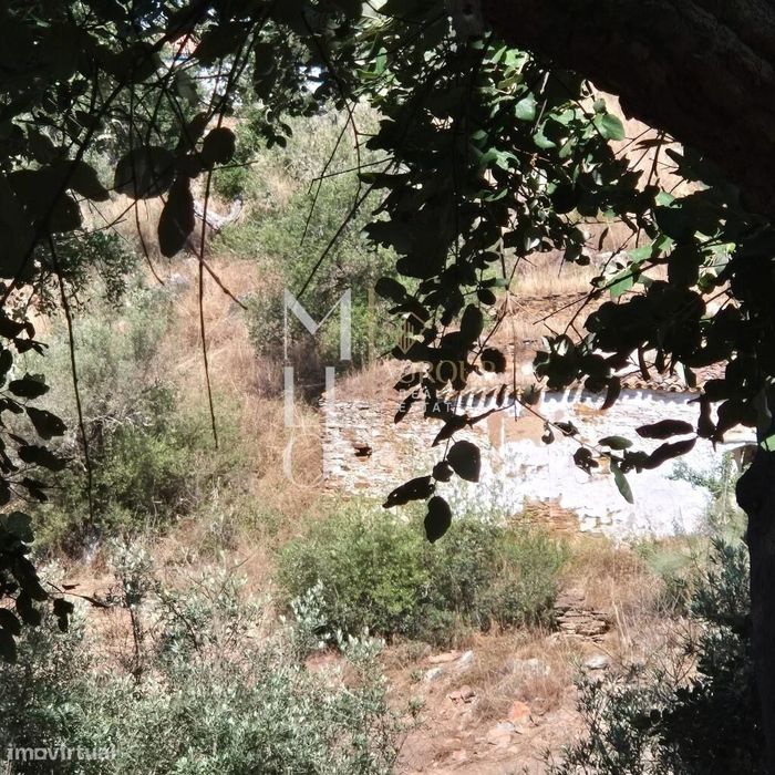 Quintinha para recuperar com uma área de 27 hectares com casa em ruina