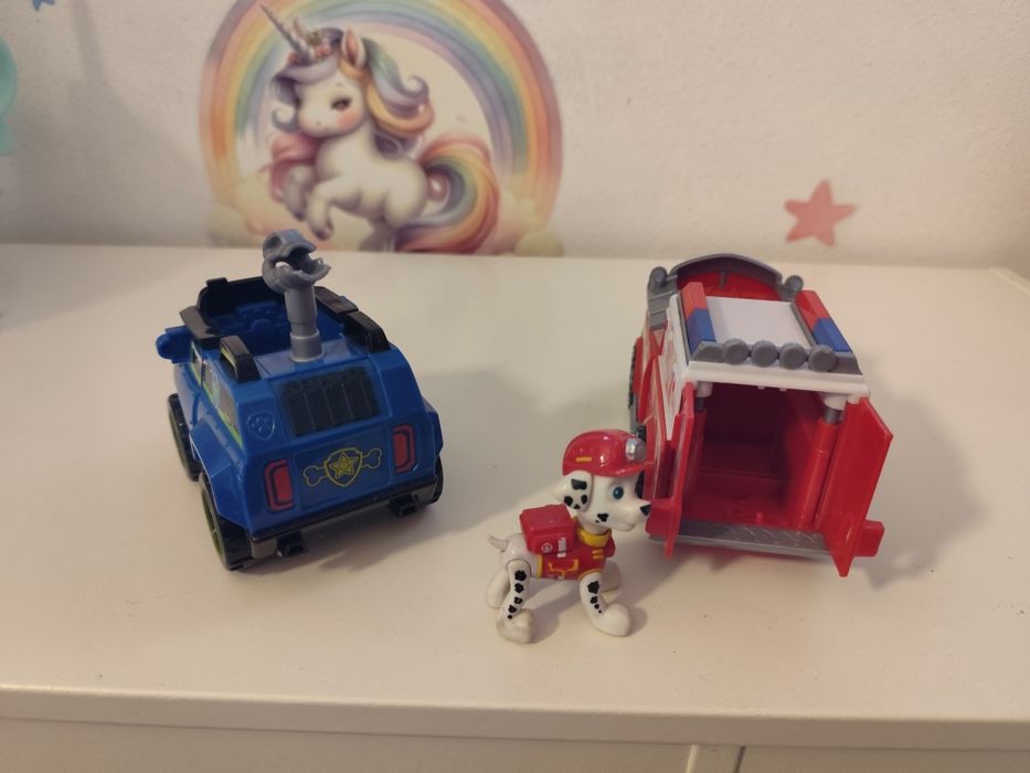 Dois carros patrulha pata