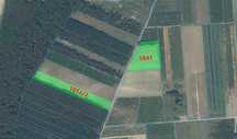 Działki rolne 1,12ha i 1,07ha w Grabkach Dużych gm. Szydłów