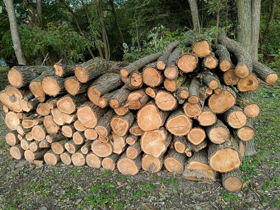 Drewno opałowe AKACJA