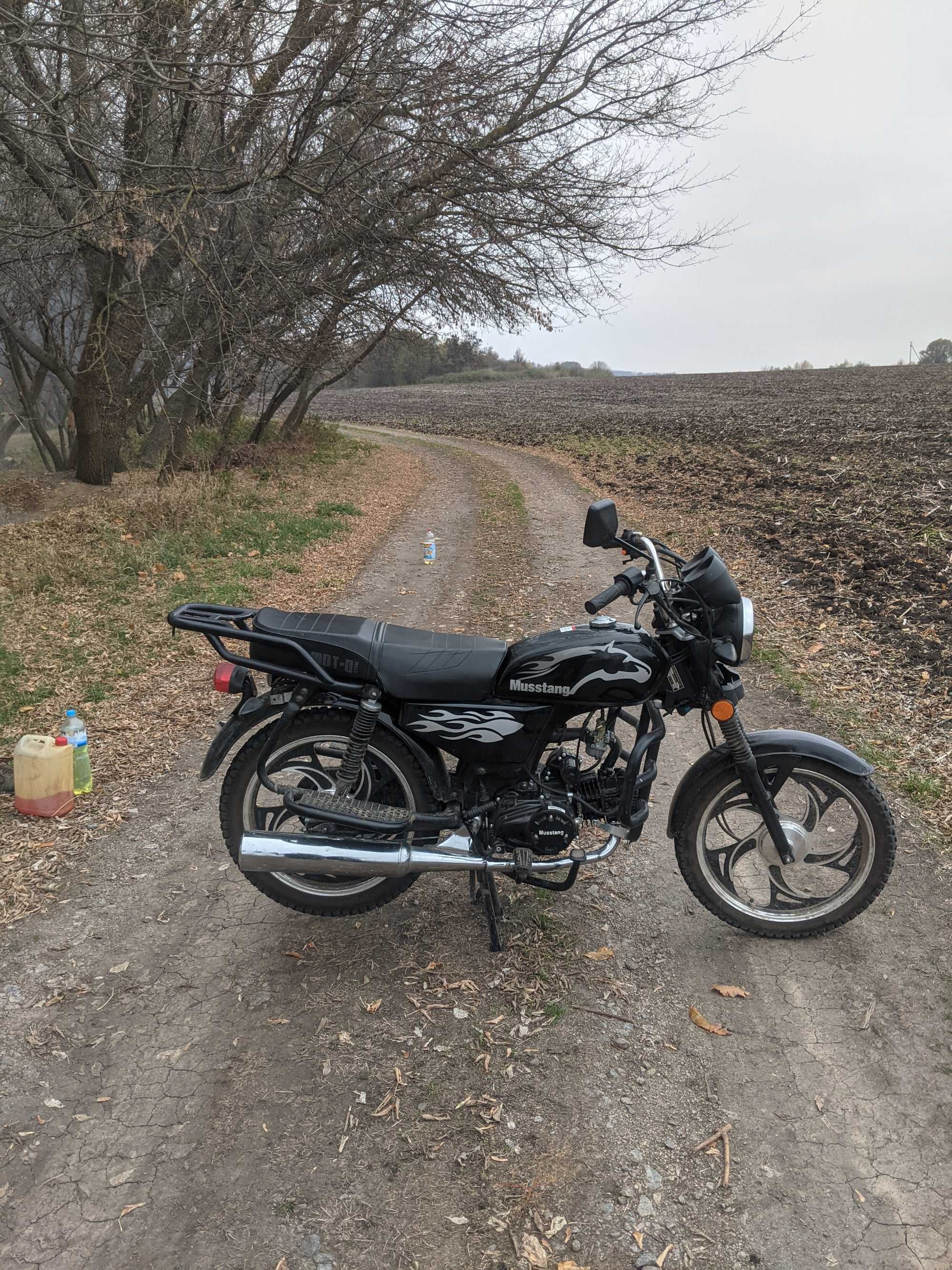 Мустанг фіт 125 Альфа