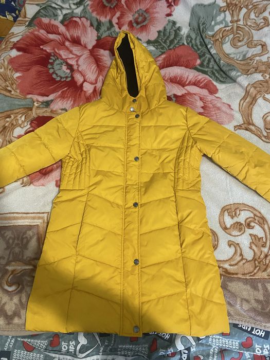 Kurtka damską zimową