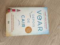 Voae depois de cair - livro