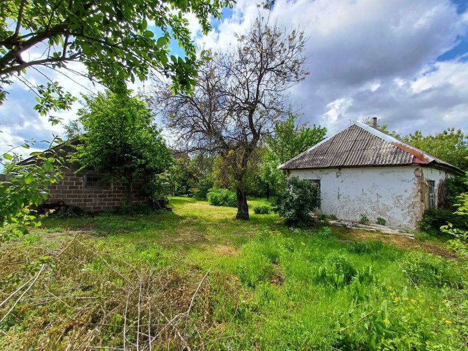 Продаж старого будинку на земельній ділянці 0,25 сот біля лісу