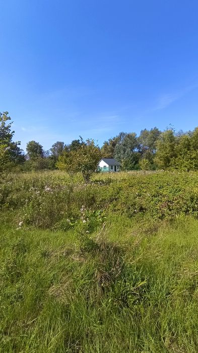 Продам ділянку в селі Літочки Броварського району