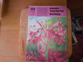 Owoce warzywa kwiaty dwutygodnik 23 1985 ogrodniczy gazeta czasopismo