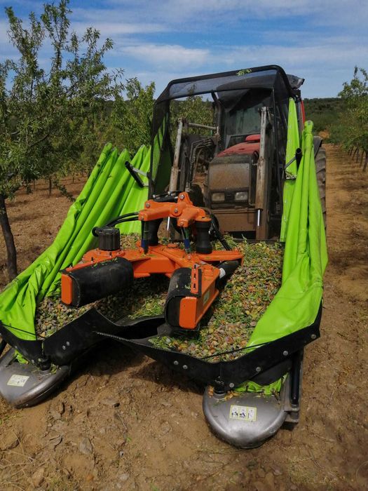 APANHA DE AZEITONA COM TRATOR