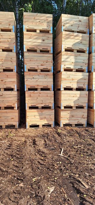 Skrzynio palety drewniane