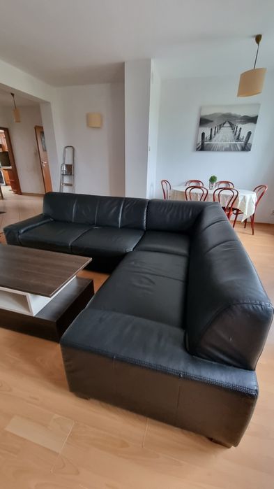 Naroznik -  skóra ekologiczna