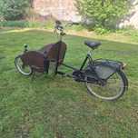 Rower riksza, cargo
