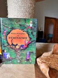 Mała książka o feminizmie Sassa Buregren dla młodzieży dzieci