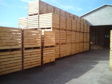Skrzynie Skrzyniopalety drewniane do Warzyw Nowe 100x120x100 Kuj-Pom