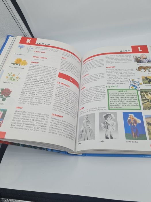 Ilustrowany Leksykon dla dzieci stan bdb