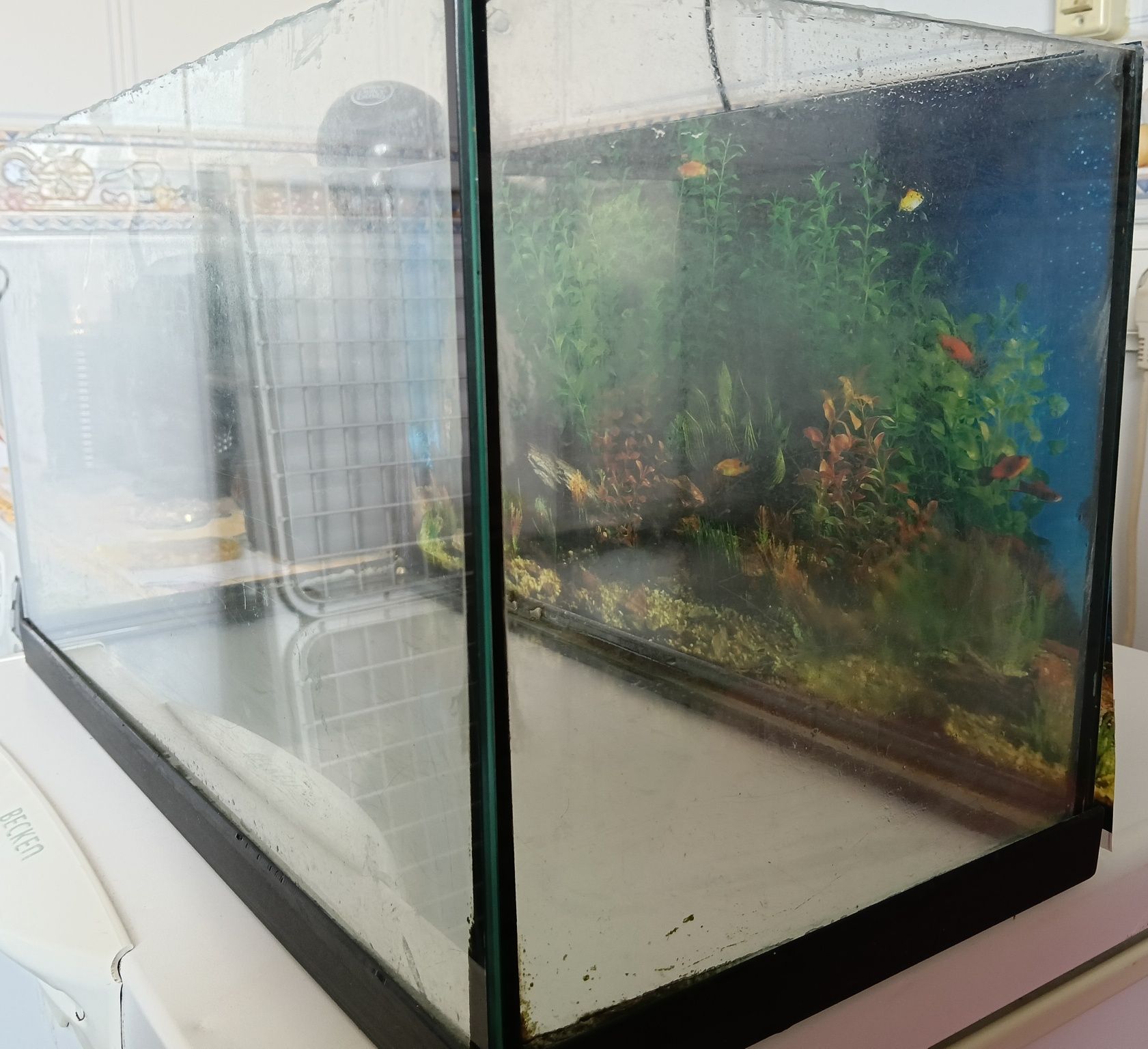 Aquário 51x26x29