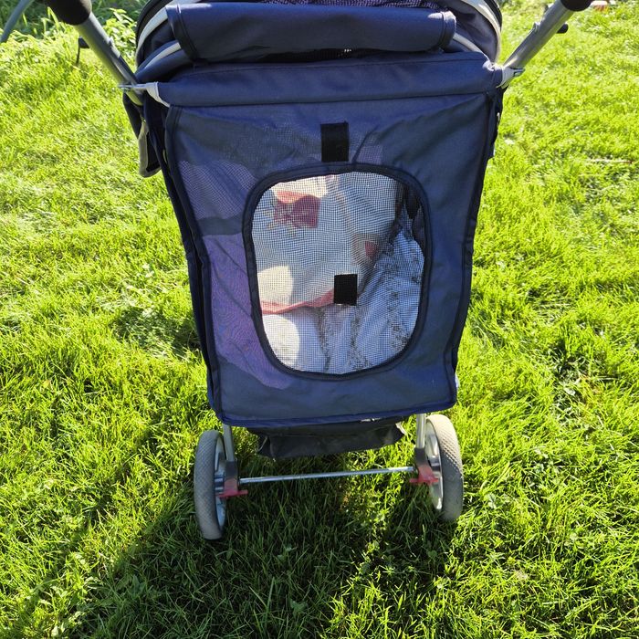 Wózek dla psa, do 15 kg + gratis.