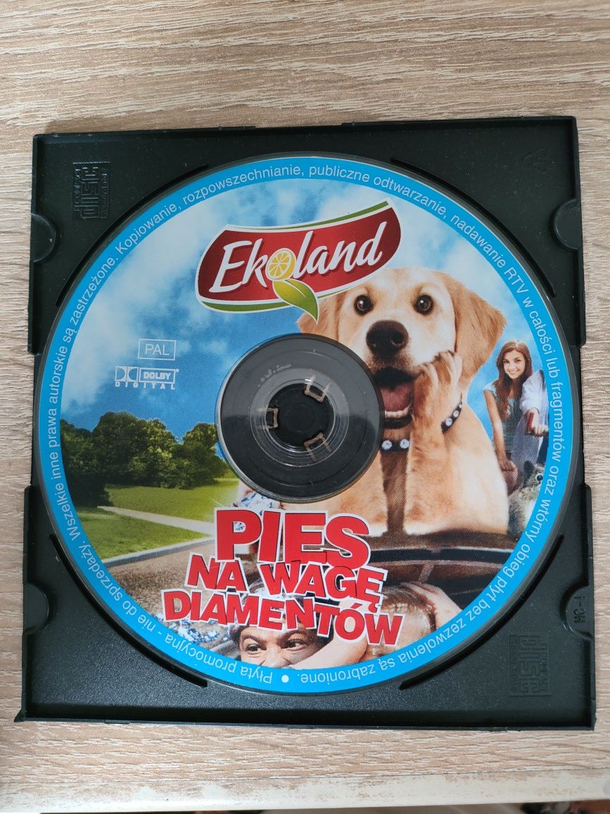 Pies na wagę diamentów płyta dvd