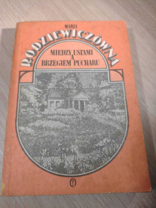 Maria Rodziewiczówna - Między ustami a brzegiem pucharu