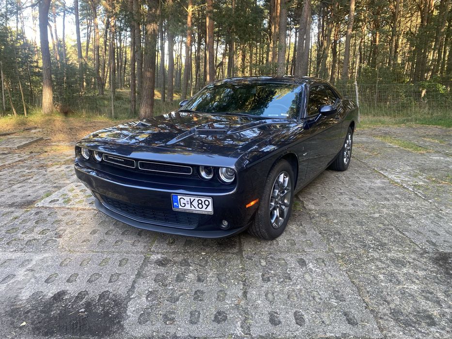 Dodge challenger