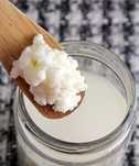 Flor de Kefir para fazer iogurtes saudaveis